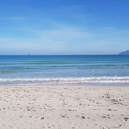 Ideal Property Mallorca - Barcares Nou アルクディア エクステリア 写真